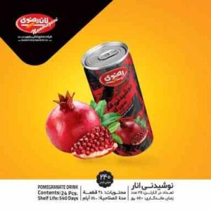 رانی انار رضوی